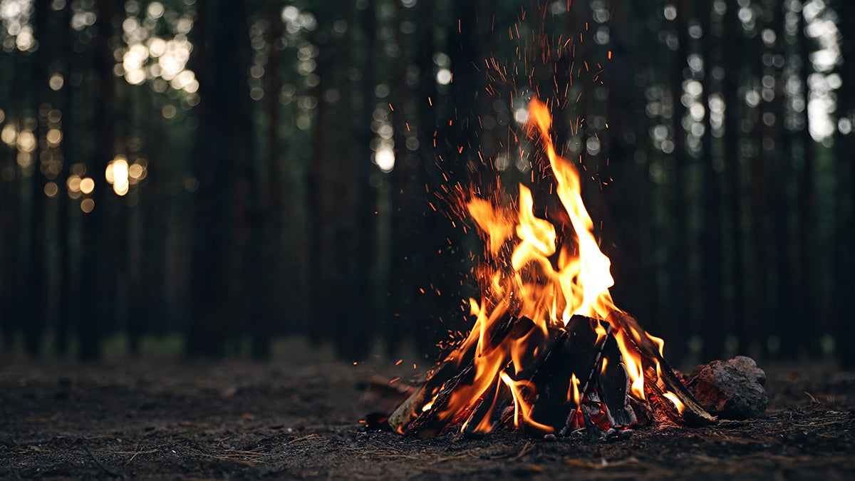 A lit campfire in the woods.