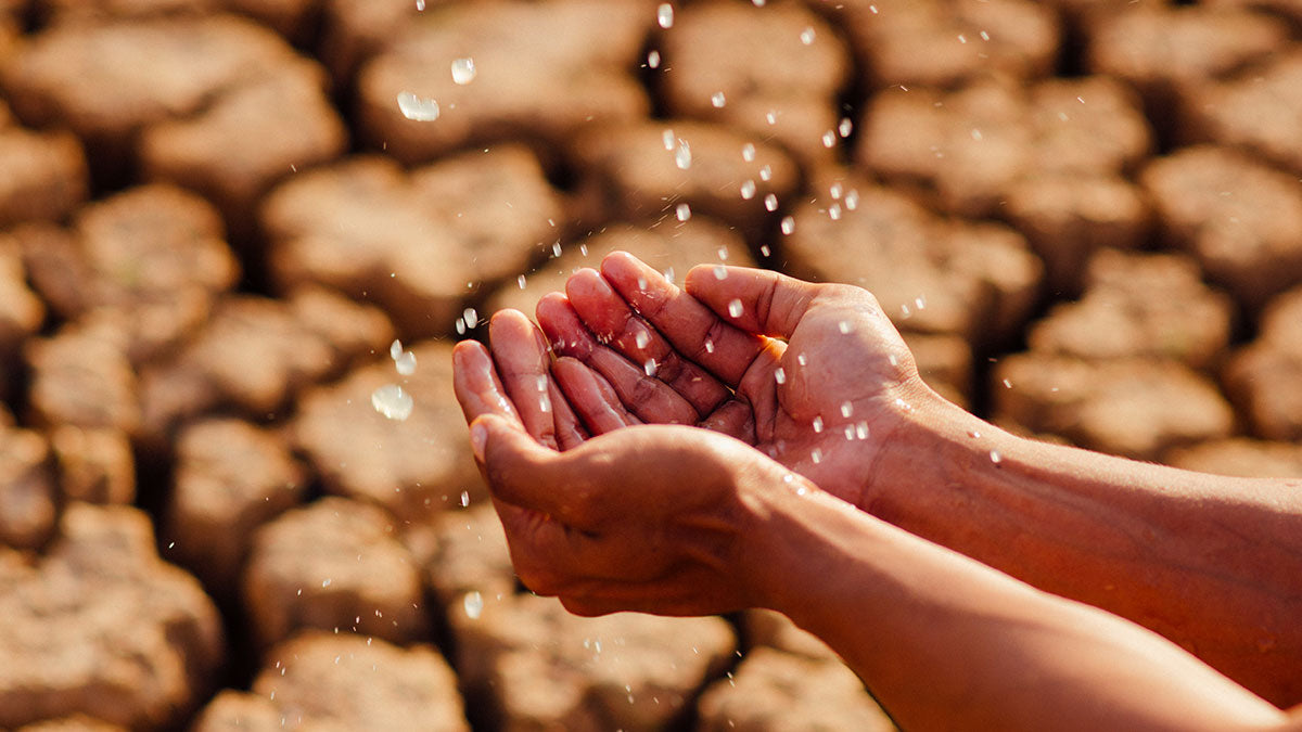 Cupped hands catching drops of water in a desert.