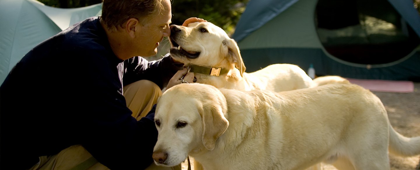 Evacuating With Your Pet - Camping Survival