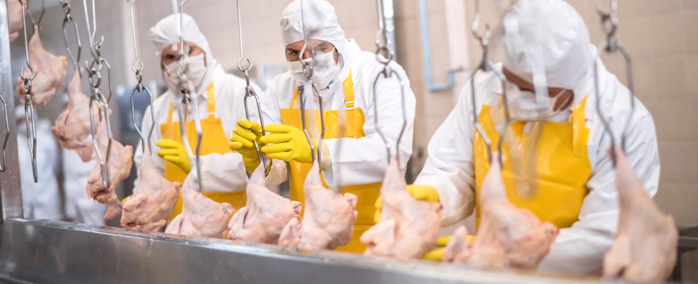 How will COVID-19 Impact the Food Industry? - Camping Survival