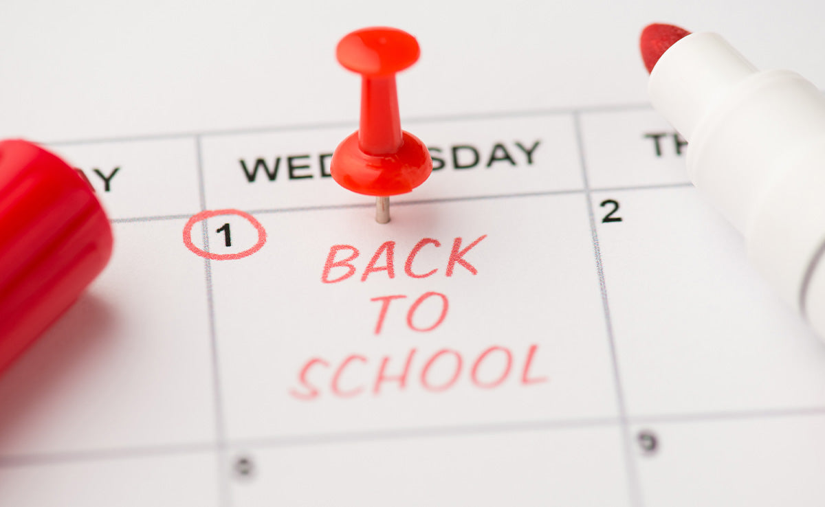 Four Last-Minute Adventures Before the School Bell Rings