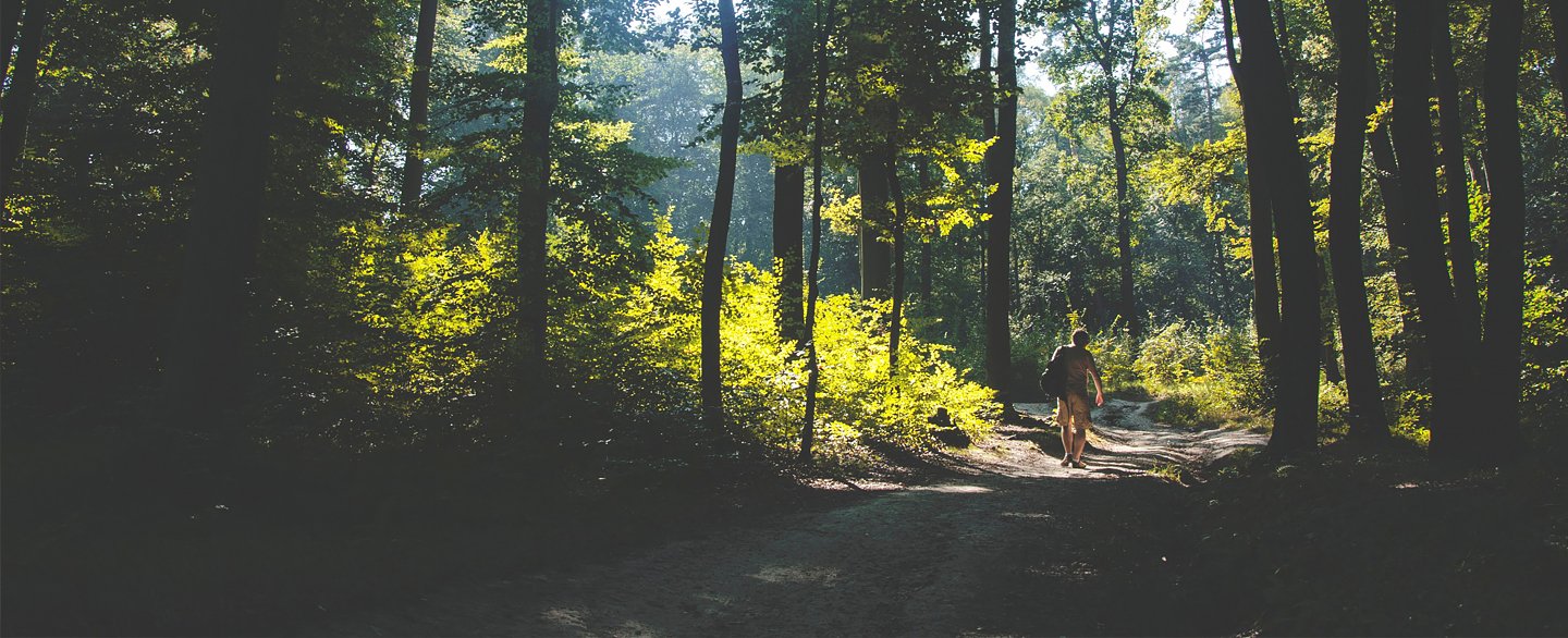 The Treasures Around Us - Camping Survival