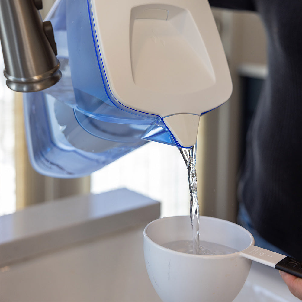 Alexapure Pitcher Water Filter (10 cup)