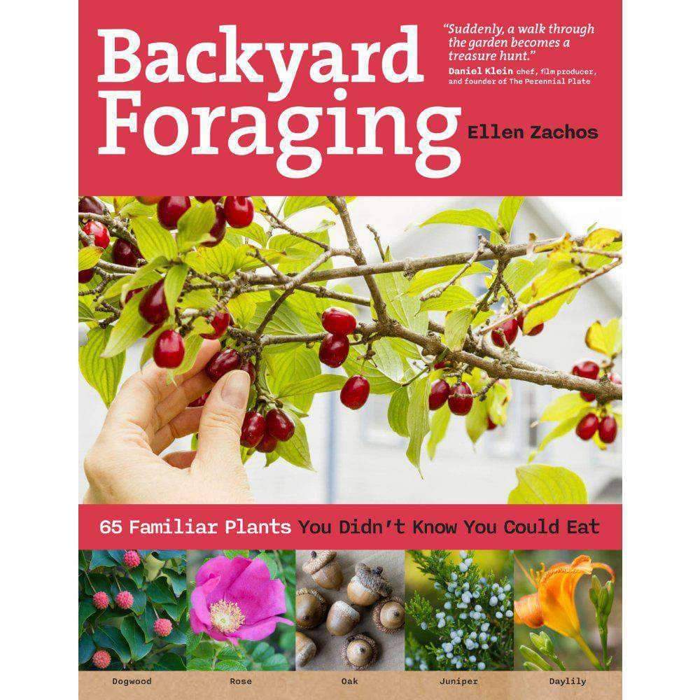 Backyard Foraging: 65 Familiar Plants You Didn’t Know You Could Eat - Camping Survival
