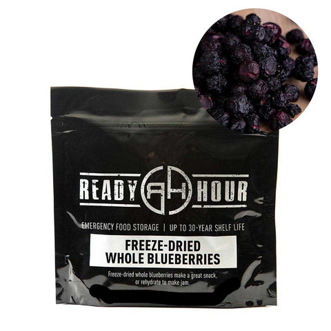Freeze-Dried Blueberries Single Pouch (8 servings)