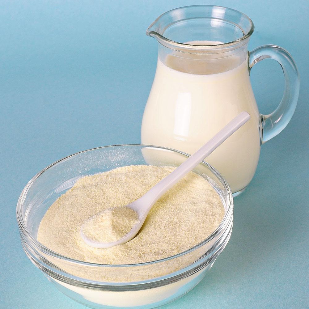 Powdered Whey Milk Single Pouch (16 servings) - Camping Survival