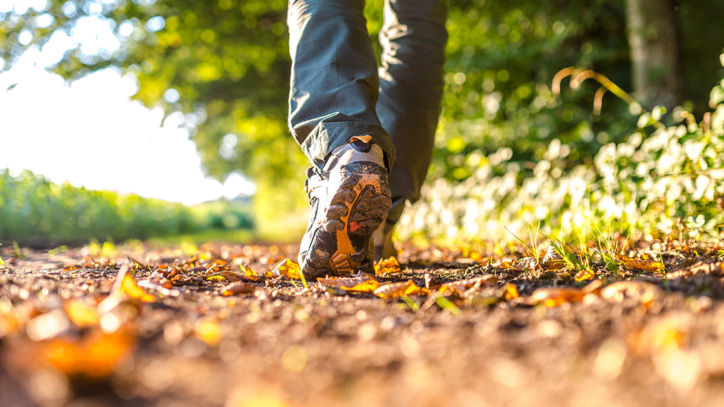 Counter-Tracking: Techniques for Covering Your Tracks and Avoiding Pursuers