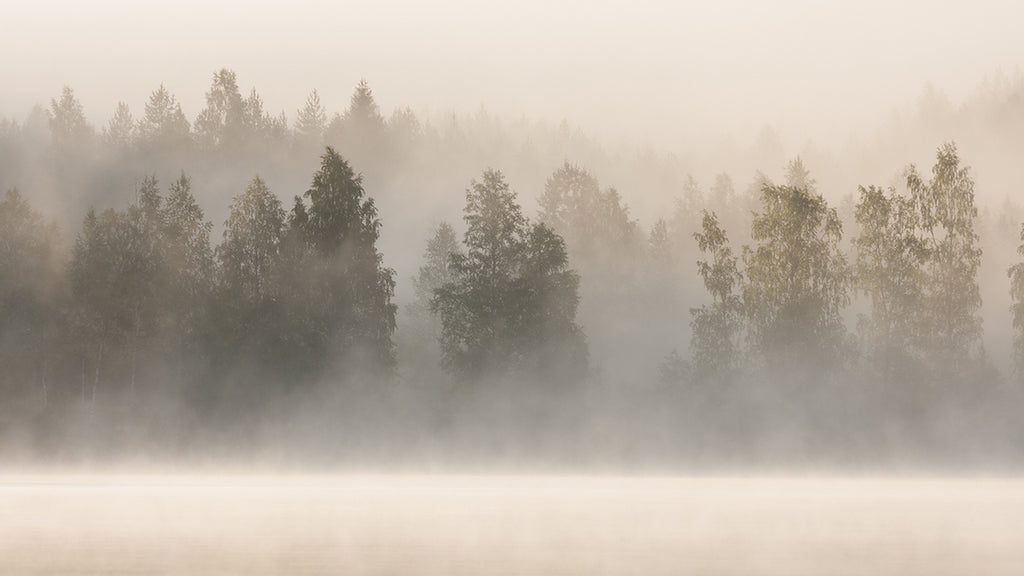 Water from Thin Air: How to Harvest Fog and Dew in Post-Collapse Environments