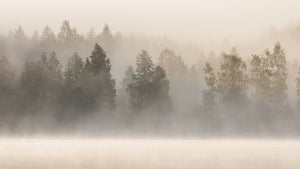 Water from Thin Air: How to Harvest Fog and Dew in Post-Collapse Environments