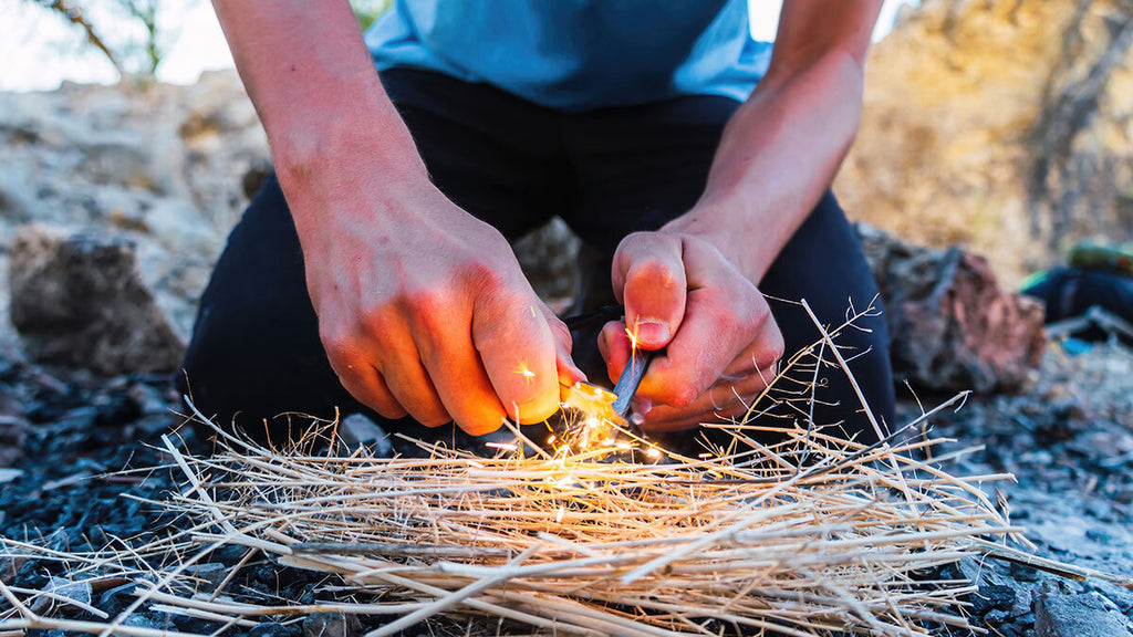 Master Class in Fire Science: Different Ignition Techniques in Diverse Environments