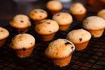 Ready Hour Breakfast Blueberry Muffins (40 servings) - Camping Survival